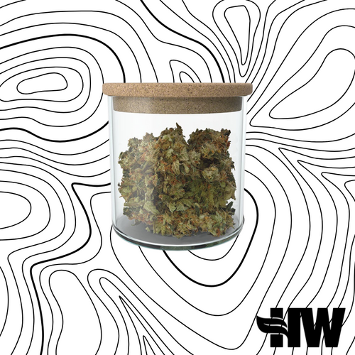 Blueberry Muffin Og (HW)